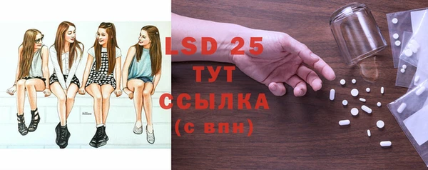 индика Новодвинск