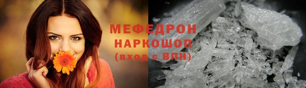индика Новодвинск
