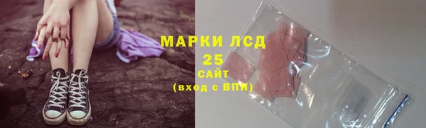шишки Новозыбков