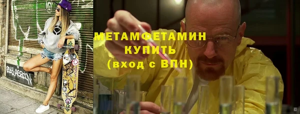 индика Новодвинск